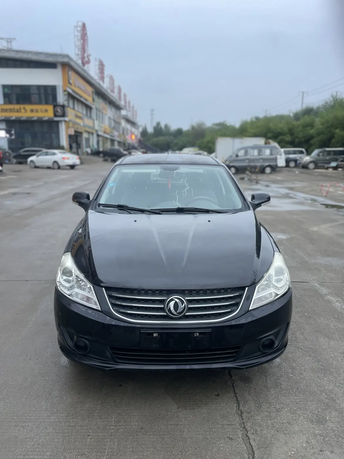 Dongfeng Dongfeng Fengshen S30 фото 